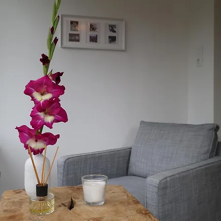 Apartment Boerner *